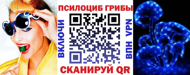 купить закладку  Спасск  Галлюциногенные грибы Cubensis 
